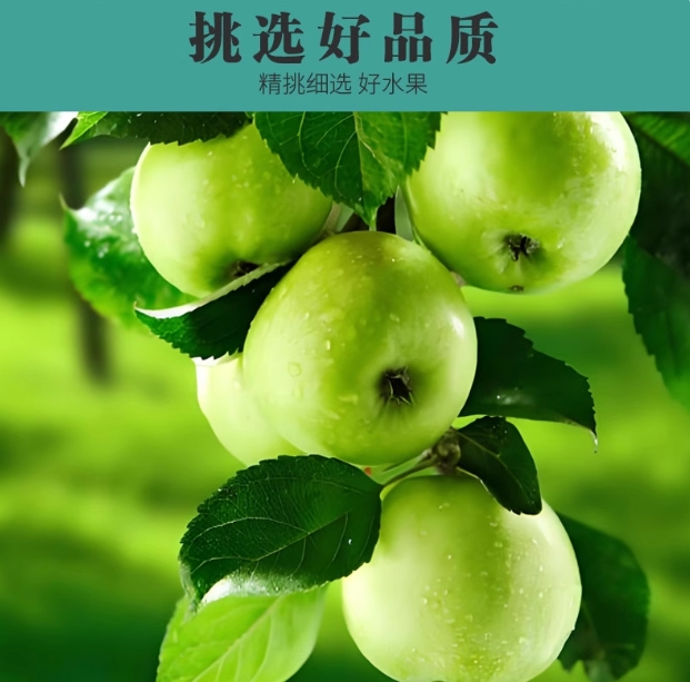 棠百福旗舰店:9.9元! 25年新货苹果醋无糖原浆纯天然0脂便携减小包装燃官方旗舰店-2