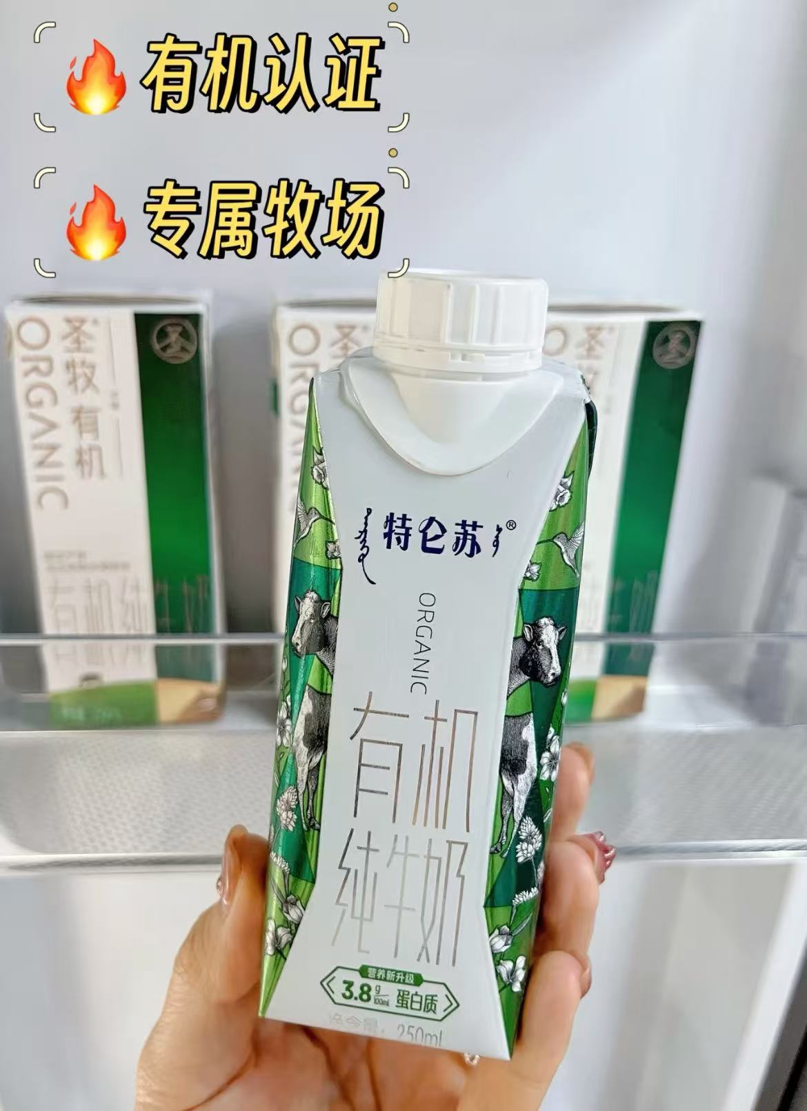 天猫超市:44元! 蒙牛特仑苏有机纯牛奶250ml*10盒高端营养早餐奶礼盒-3